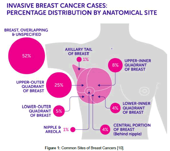 womens-health-issues-Common-Sites