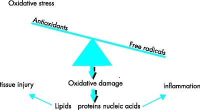 Membrane Lipid Oxidation as a Negative Feedback Loop Modulating Cell Response to Oxidative Stress