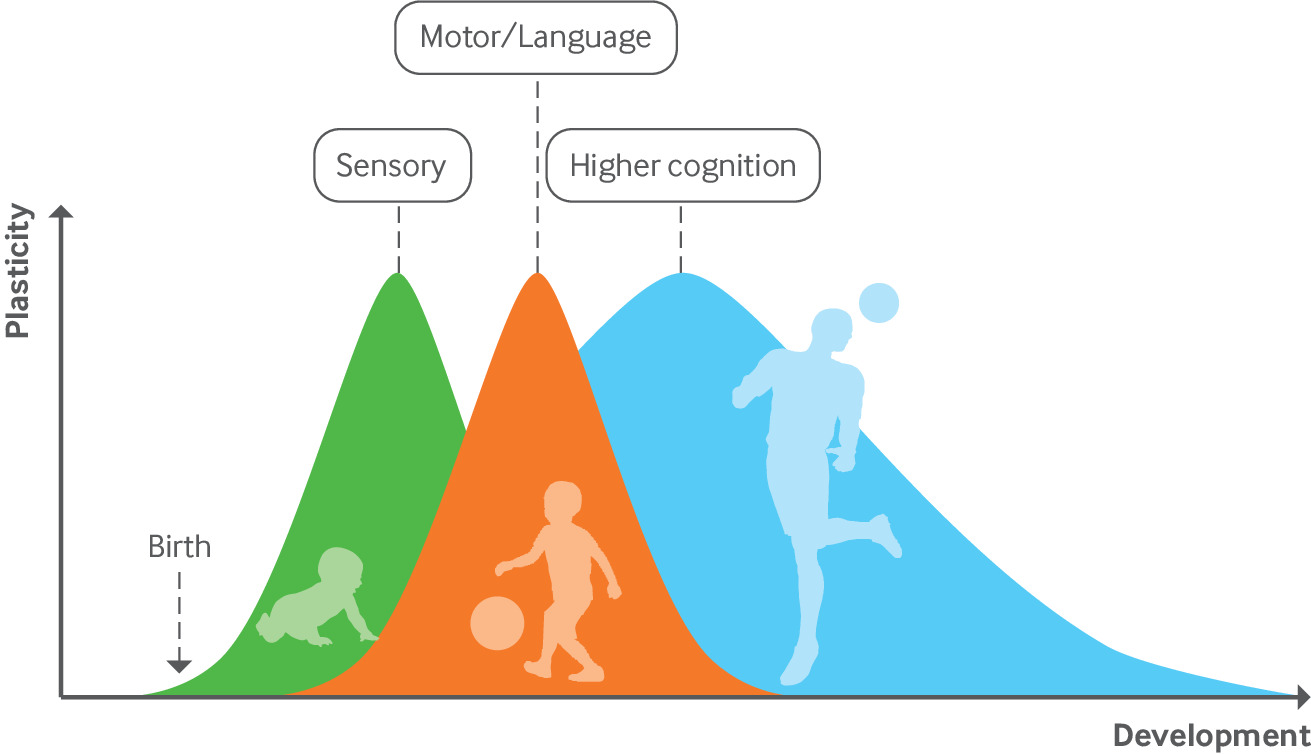 Anesthesia and Neurodevelopment in Children