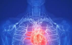 2020 Market Analysis of International Conference on Pathology and Pathological Disorders