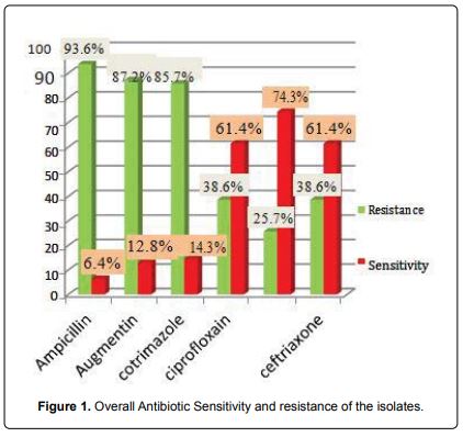 Bacterial Uropathogens in Urinary Tract Infections and antibiotic Susceptibility patterns in Banadir Hospital, Mogadishu-Somalia