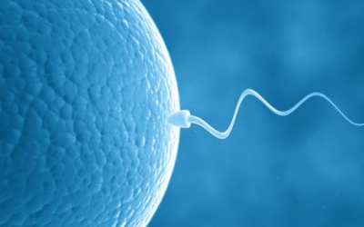 Association of Antisperm Antibodies with Bacterial Infection: An Insight to Infertility