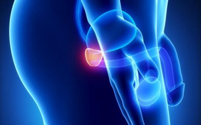 Androgen-Dependent Chemical Elements of Prostate Gland