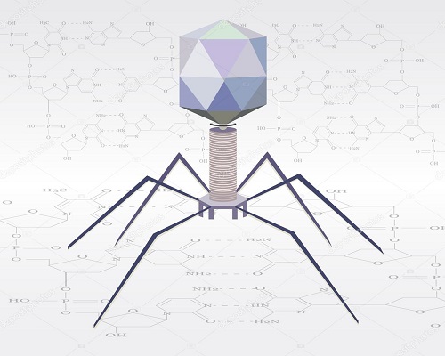 The Promise of Bacteriophage Antimicrobial Therapeutics