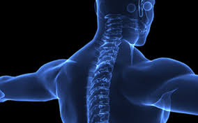 Spinal Stargazin-Mediated Cross-Talk of AMPA/NMDA Receptors in Chronic Pain