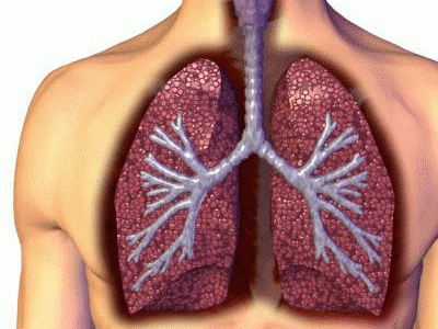 Dexmedetomidine Infusion Perioperative to Control Agitation in Non-intubated Young Patient with Cystic Fibrosis Undergoing Upper Arm Ultrasound Guided Totally Implantable Port-A-Cath Placement: A Case Report