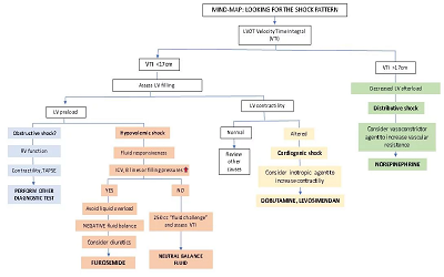 The Role of Bedside Transthoracic Echocardiography, Ultrasound as a Guide in Myocardial Dysfunction after Abortion: A Case Report