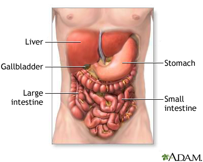 Organ Donation Living Donor Liver Transplant in Alcohol-related Liver Disease: An Option Whose Time Has Come