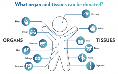 Organ and Tissue Donation