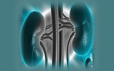 Lymphoid Interstitial Pneumonia in a Renal Transplant Recipient