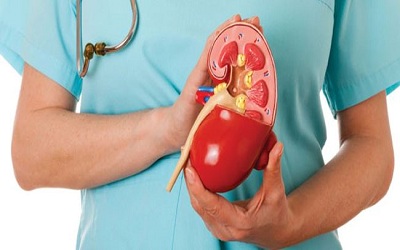 Is C4d Deposits Detection a Real Marker for the Diagnosis of Chronic Rejection in Renal Allografts? Is Further Revise of its Diagnostic Criteria Not Required?