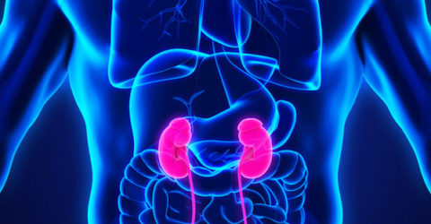 Parathyroidectomy Outcomes in Renal Transplant Recipients: Subtotal vs. Total
