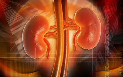 Does Laterality Influence Outcomes in Paired Expanded Criteria Deceased Donor Kidney Transplantation: It All Depends on which Side You’re on!