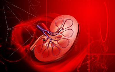 Renal Transplant for Patients on Long-term dialysis (20 or more years) at our Center