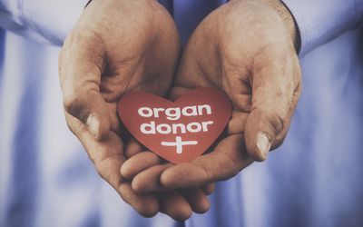 Organ Donation Attitudes and Practices Among Older Adults Participating in Evidence-Based Health Programs