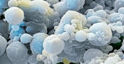 3rd World Congress on Biopolymers and Bioplastics Awards of Biopolymers 2020