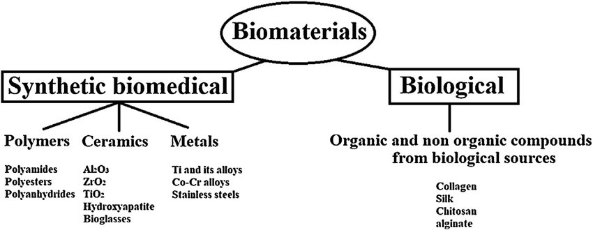 Tissue-Engineered Disease Models