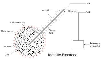 Bio Electrodes