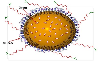 Bio materials In Drug Delivery