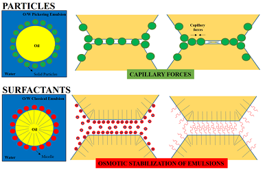 Emulsions Stabilization for Topical Application