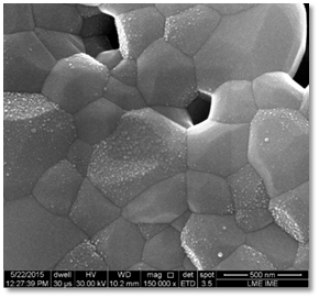 Bioactivity Assessment of Ag-HA