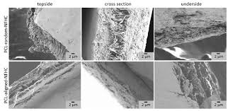 Mechanical and Optical Properties of PCL Nanofiber Reinforced Alginate Hydrogels for Application in Corneal Wound Healing