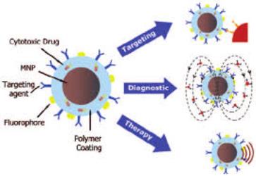 General Review on the Properties and Applications of Magnetic Nanoparticles in Biomedicine