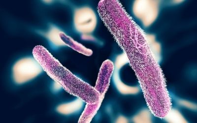 Making the hospital a safer place by the sonochemical coating of all its textiles with antibacterial nanoparticles