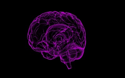 Genistein by loading into transfersomes as new possible adjuvant in the oxidative stress-related neurodegenerative diseases