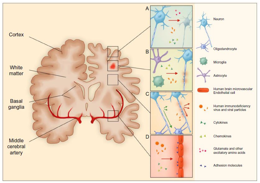 Treatment Options for Developmental Delay in Children with Perinatal Damage of Nervous System