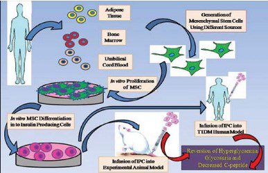 Comparison of Alpha Modified Eagleâ€™s Minimum Essential Medium with Dulbeccoâ€™s Modified Eagleâ€™s Medium For In-Vitro Generation of Human Adipose Tissue Derived Mesenchymal Stem Cells.