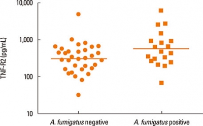 Differential Binding of Aspergillus fumigatus Allergenic Proteins to Human Leukocyte Antigen (HLA) Alleles in Dry Lab: Potential for
Immunotherapy