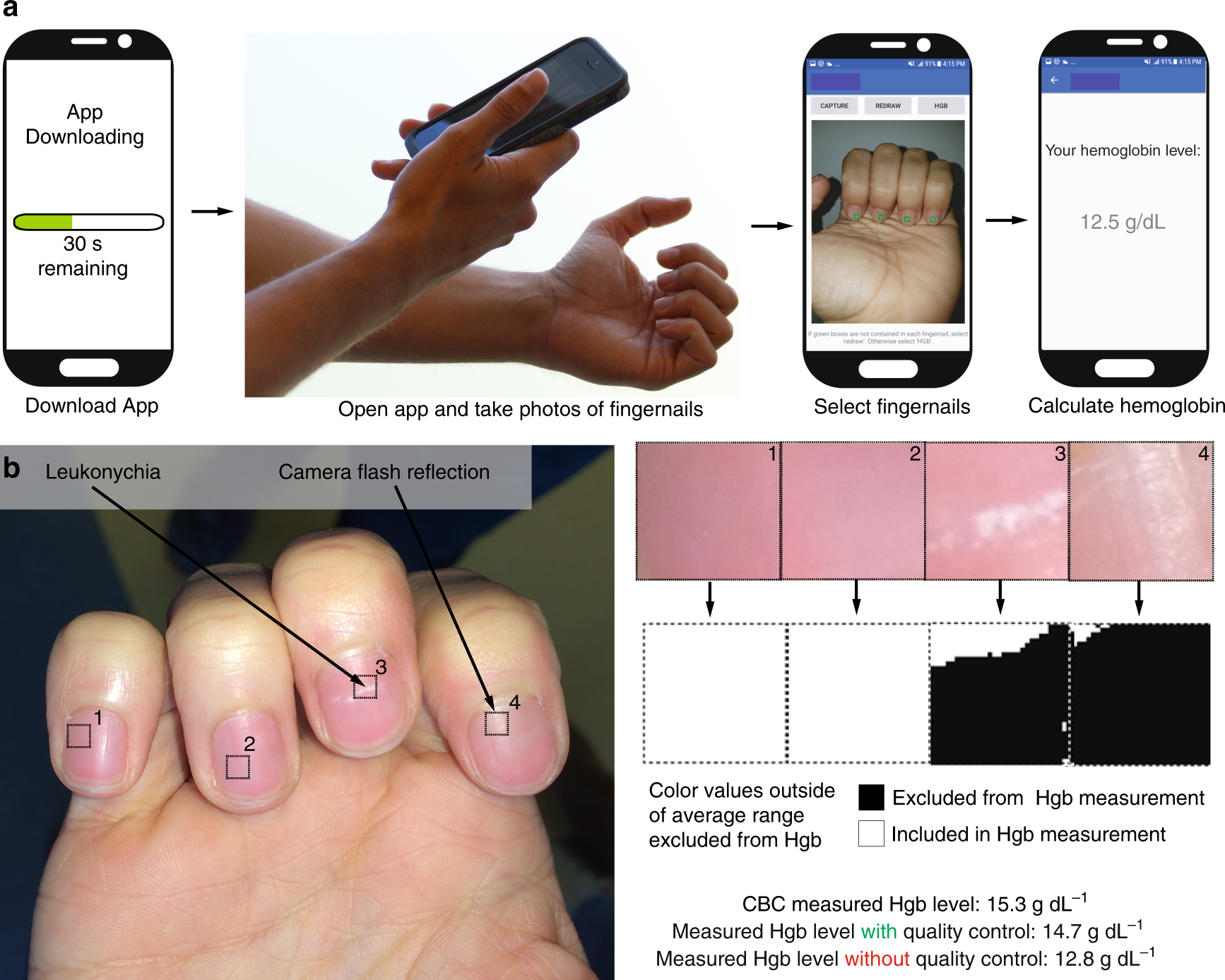 Studying Mobile Biology within the Skin and Highlighting the Physiological Roles of this Gadget