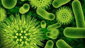 In vitro Analysis of Antifungal Activity of a Phytocomplex Fungifreeâ„¢ against Dermatophytes and Yeasts