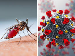 Covid-19 Impact on Dengue