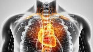 A Short Note on Cardiovascular Imaging