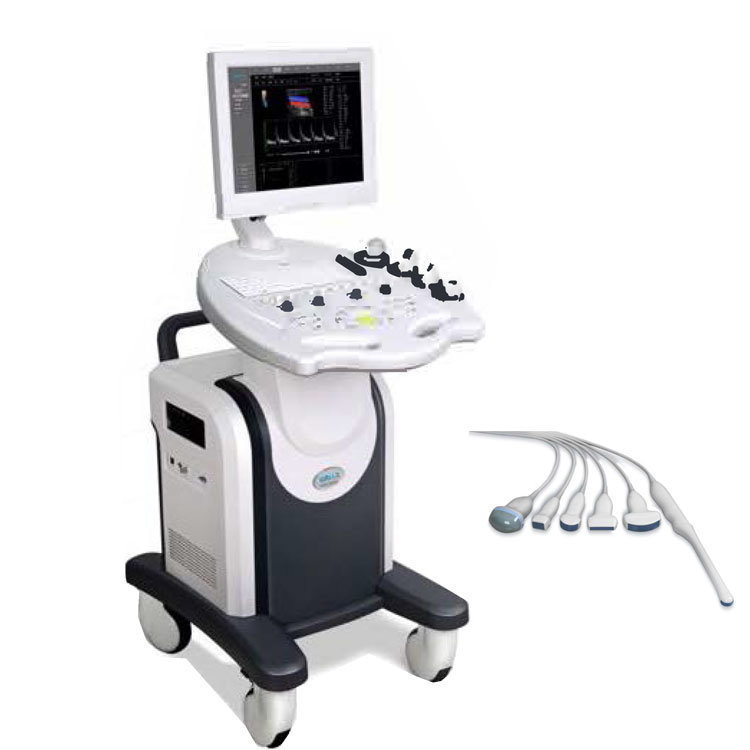 Ultrasound Doppler Analysis of Viscus Blood Vessel Undulation  In Malignant Hypertension Before and after Propranolol