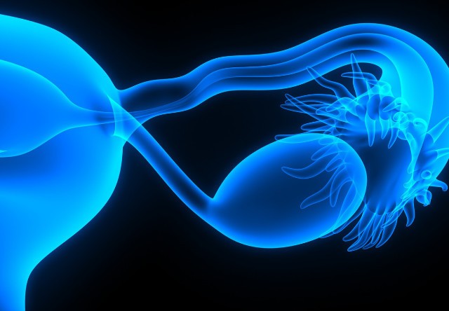 A Hereditary Breast and Ovarian Cancer (HBOC) Patient with Metastatic Breast Cancer Lacking BRCA Loss of Heterozygosity (LOH) but Responding to PARP Inhibitor Therapy