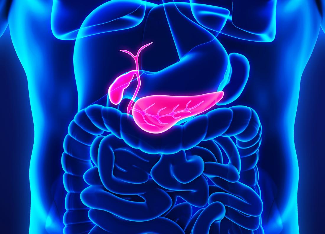 Orally Administered Multiple Dose Saltikva (Salmonella-IL2) in Conjunction with Folfirinox in a Patient with Stage IV Pancreatic Cancer: A Case Report