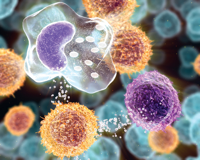 Autoimmune Toxicity Following Nivolumab and Ipilimumab Therapy For Hepatocellular Carcinoma-An Interdisciplinary Challenge