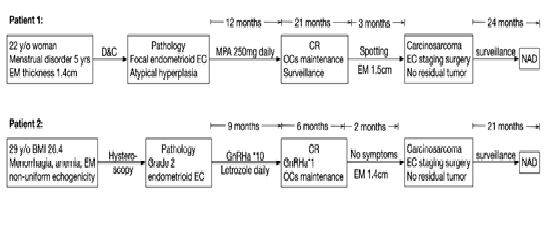 Endometrioid Cancer Transform to Carcinosarcoma after Hormonal Treatment: Epithelial-Mesenchymal Transition during Fertility Preserving Management in Two Women