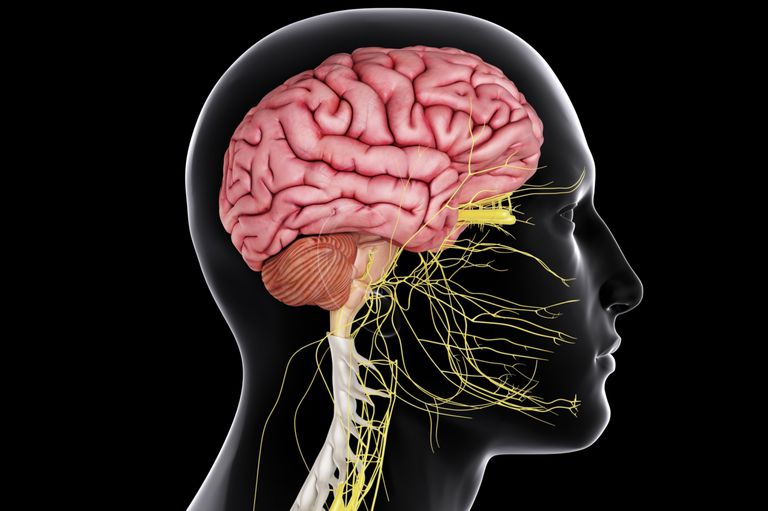 Central Nervous System Burkitt Lymphoma Presenting as a typical Guillain-Barre Syndrome