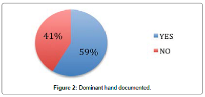 Hand Injury Audit