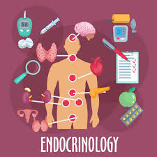 Effect of Endocrinology