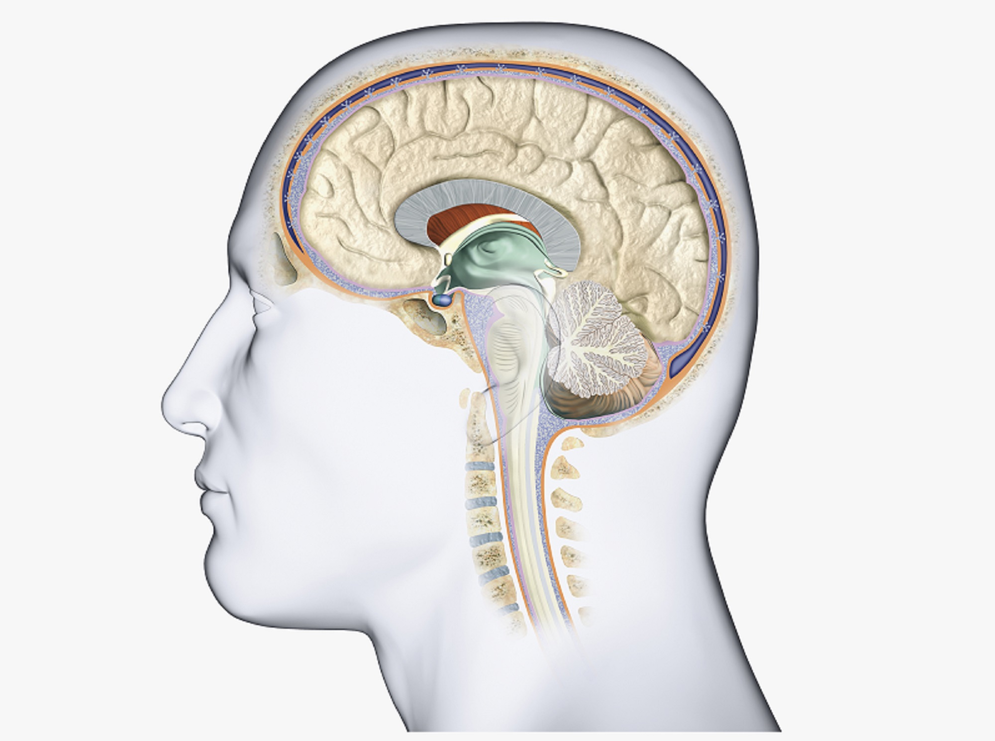 Pituitary Incidentaloma: A Tertiary Care Single Center Experience from Pakistan