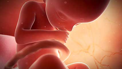 Embryo Implantation and Inhibin Dimers (Activin) as Diagnosis of Ectopic Pregnancy