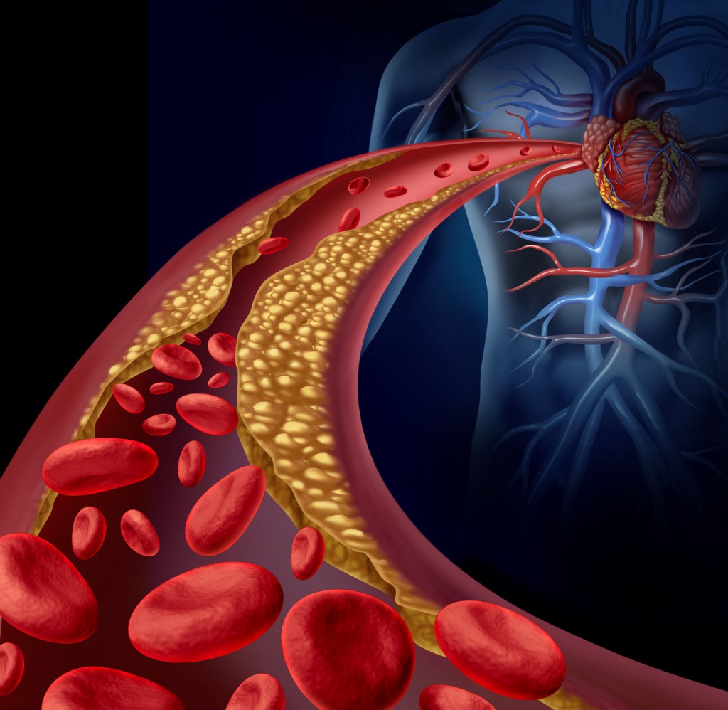 The Influence of Cortisol and Age Differences on the Development of Insulin Resistance and Dyslipidemia in Euthyroid Patients