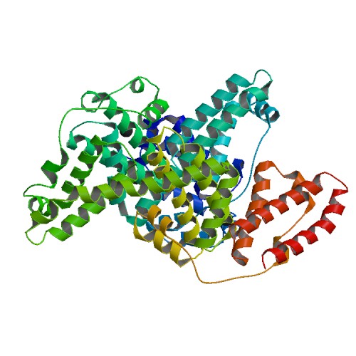 Efficacy of Metformin in Vitamin B12 Deficient Liver Cells