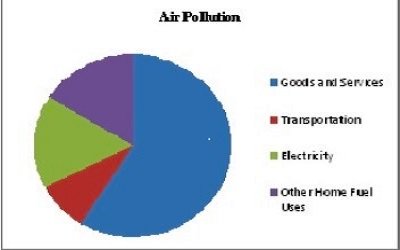 Impact of Roads on Human Ecology