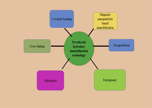 The climate: A vague Idea in Waddington's science